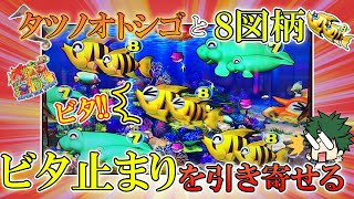 【海177連】Pスーパー海物語IN沖縄5!みんな大好きビタ止まり!!引き寄せられたそのワケとは!?GIGAの実戦!