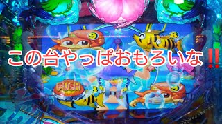 【Pスーパー海物語 IN 沖縄5 夜桜超旋風】この台やっぱおもろいな‼️
