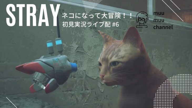 【STRAY】#6 ネコになって大冒険!!初見ゲーム実況ライブ配信