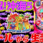 【生54連①】Pスーパー海物語IN沖縄5!コンちゃんの生配信!!