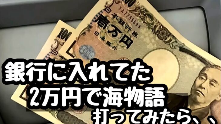 銀行に入れてた2万円を海物語で増やそうとした結果。【P元祖ギンギラパラダイス】